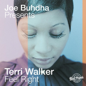 Обложка для Joe Buhdha, Terri Walker feat. Reel People - Feel Right