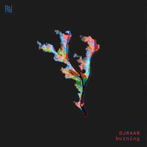 Обложка для DJRAAN - Burning