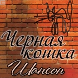 Обложка для Ворон Владимир - Пой, моя гитара