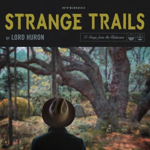 Обложка для Lord Huron - Hurricane (Johnnie's Theme)