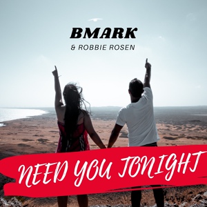Обложка для Bmark, Robbie Rosen - Need You Tonight
