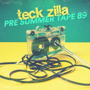 Обложка для Teck Zilla - 1000 Lonely Summers