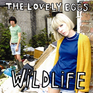 Обложка для The Lovely Eggs - The Castle