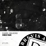 Обложка для Chris Park - Camel Walking