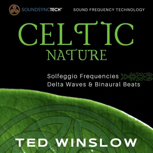 Обложка для Ted Winslow - Ring of Kerry (495hz)