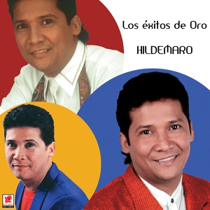 Обложка для Hildemaro - Si Esto No Es Amor