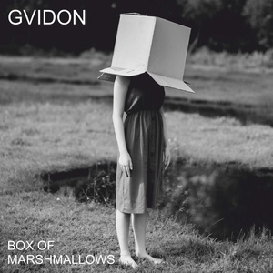 Обложка для Gvidon - Cyclone