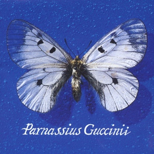 Обложка для Francesco Guccini - Canzone Per Silvia