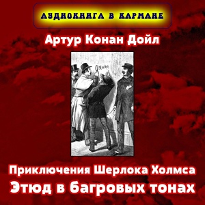 Обложка для Аудиокнига в кармане, Максим Доронин - Глава 4. Бегство, Чт. 2