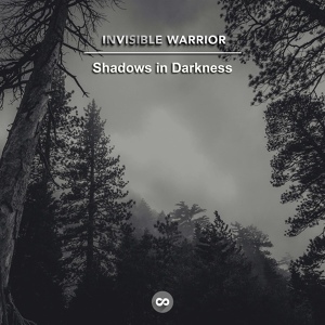 Обложка для Invisible Warrior - Shadows in Darkness