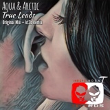 Обложка для Aqua & Arctic - True Leads