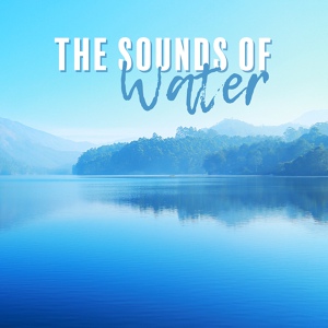 Обложка для Calming Water Consort, Water Sounds, Soundscapes! - Mother Nature