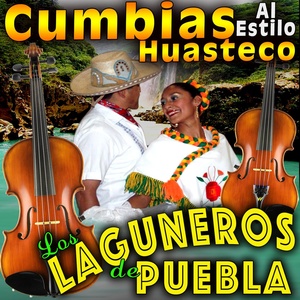 Обложка для Los Laguneros De Puebla - Mentirosa