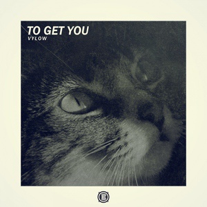 Обложка для Vylow - To Get You