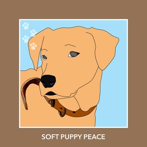 Обложка для Calm My Dog - Soft Moon