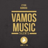Обложка для D'YOR - Burning