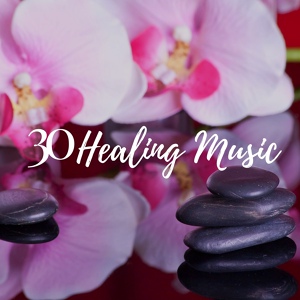 Обложка для Reiki Healing Music Ensemble - Pure Energy