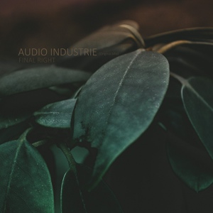 Обложка для Audio Industrie - Final Right