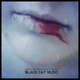 Обложка для Black Cat Music - The Princess Dress