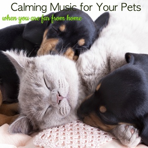 Обложка для Pet Care Music Therapy - Lullaby for Pets - Relaxing Piano Music to Calm Your Anxious Pet