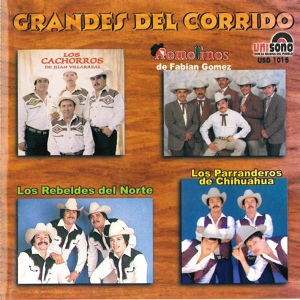 Обложка для Los Parranderos De Chihuahua - Corrido de Amado Carrillo