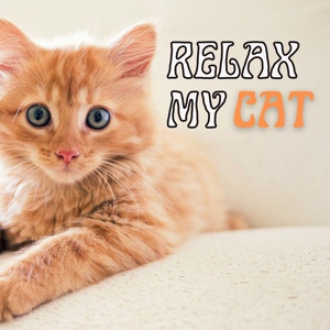 Обложка для Pet Therapy - Relax My Pet