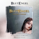 Обложка для Blutengel - Seelenschmerz