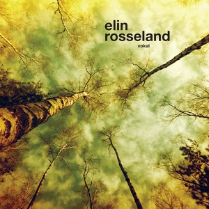 Обложка для Elin Rosseland - svev