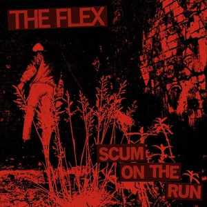 Обложка для The Flex - The Flex