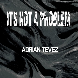 Обложка для Adrian Tevez - It's Not a Problem