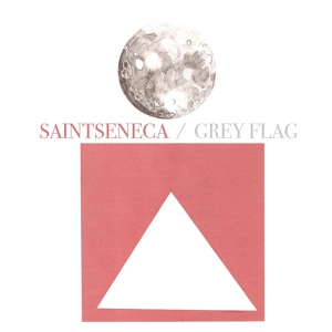 Обложка для Saintseneca - Grey Flag