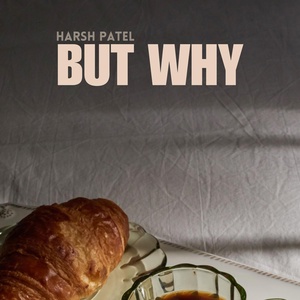 Обложка для Harsh Patel - But why