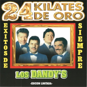 Обложка для Los Dandy's - Homenaje A Selena