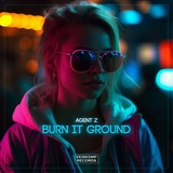 Обложка для Agent Z - Burn It Ground