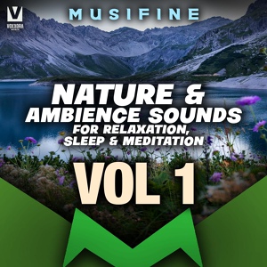 Обложка для Musifine - Bird Sounds in Nature Ambience