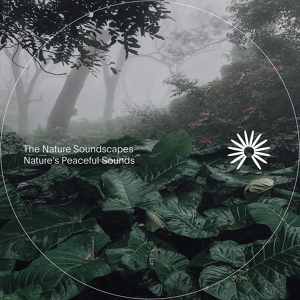 Обложка для The Nature Soundscapes - Peninsula Rain