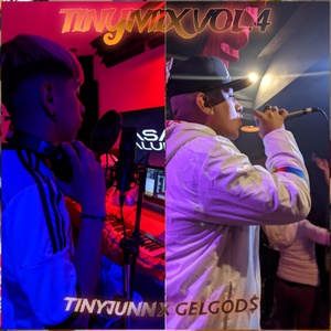 Обложка для Tinyjunn, GELGOD$ - Tinymix Vol.4 - T.E.D.M.B/ Tu Turrito/ N.M. Conocen/ DiscoTK/ T.F.Sufrir