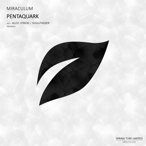Обложка для Miraculum - Pentaquark