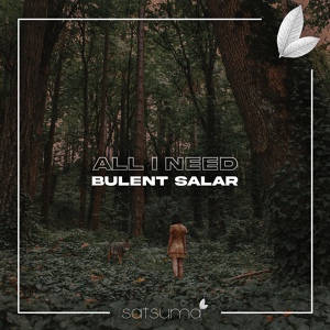 Обложка для Bulent Salar - All I Need