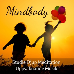 Обложка для Meditation Masters - Rain Sounds (Nature Music)