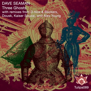 Обложка для Dave Seaman - The Holy Ghost