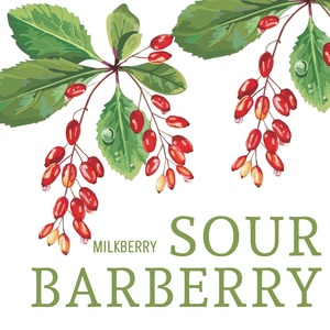 Обложка для Milkberry - Sour Barberry