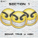 Обложка для Section 1 - Gonna Take U High (Satellite Bass Radio Mix)