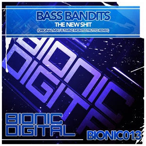 Обложка для Bass Bandits - The New Shit