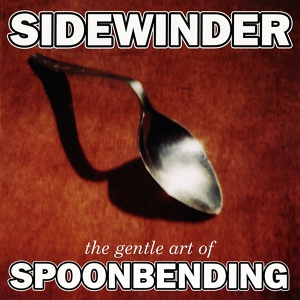Обложка для Sidewinder - Splinter