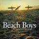 Обложка для The Beach Boys - Let Him Run Wild