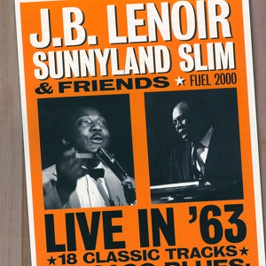 Обложка для J.B. Lenoir, Sunny Land Slim - Brown Skin Woman