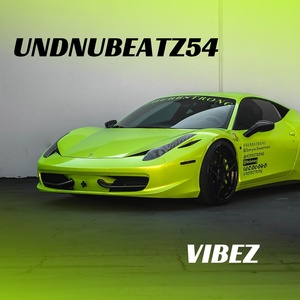 Обложка для UndNuBeatz54 - Vibez
