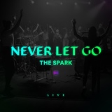 Обложка для The Spark feat. Ledger - Never Let Go (Live)