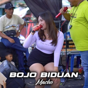 Обложка для Macho - Bojo Biduan